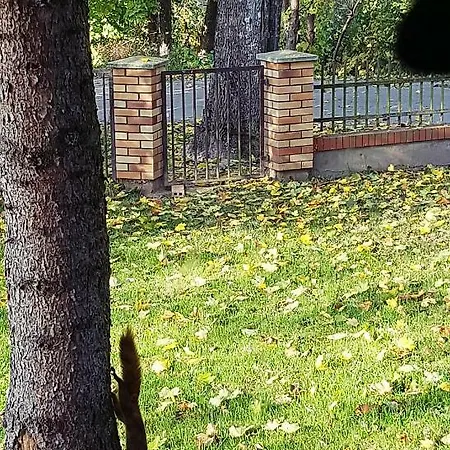 Accommodatie bij particulieren Hansel & Gretel Kallinowen