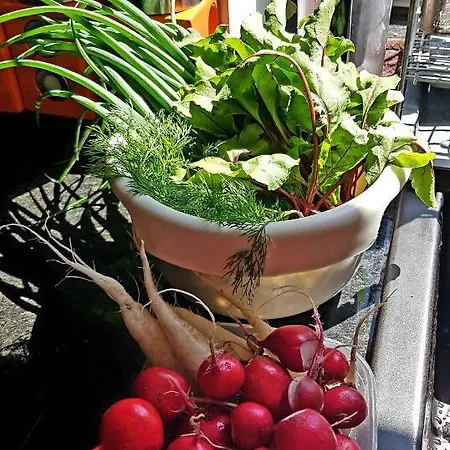 Hansel & Gretel Kallinowen